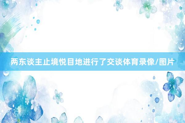 两东谈主止境悦目地进行了交谈体育录像/图片