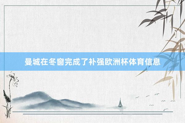 曼城在冬窗完成了补强欧洲杯体育信息