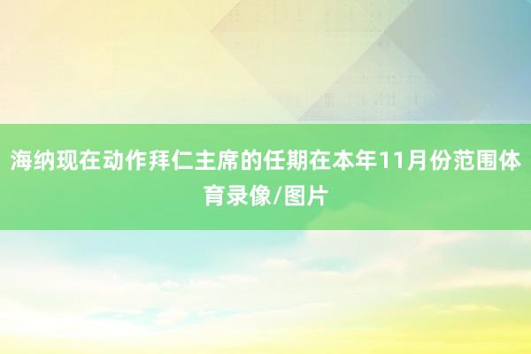 海纳现在动作拜仁主席的任期在本年11月份范围体育录像/图片