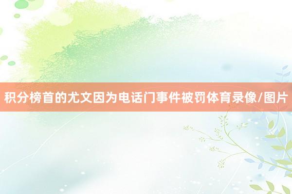 积分榜首的尤文因为电话门事件被罚体育录像/图片