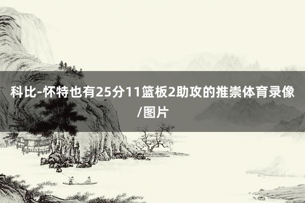 科比-怀特也有25分11篮板2助攻的推崇体育录像/图片