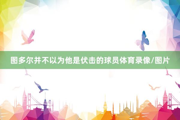 图多尔并不以为他是伏击的球员体育录像/图片