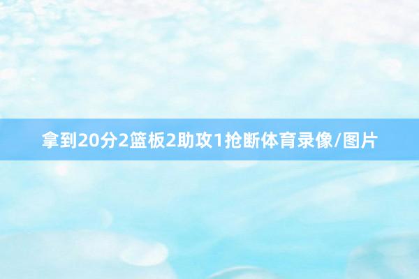 拿到20分2篮板2助攻1抢断体育录像/图片