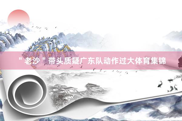 ＂老沙＂带头质疑广东队动作过大体育集锦