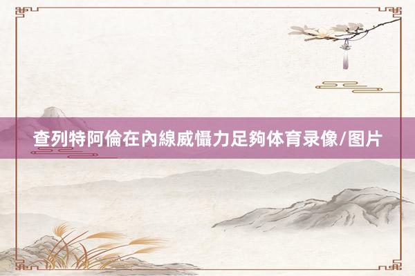 查列特阿倫在內線威懾力足夠体育录像/图片