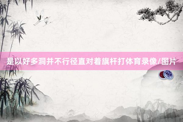 是以好多洞并不行径直对着旗杆打体育录像/图片