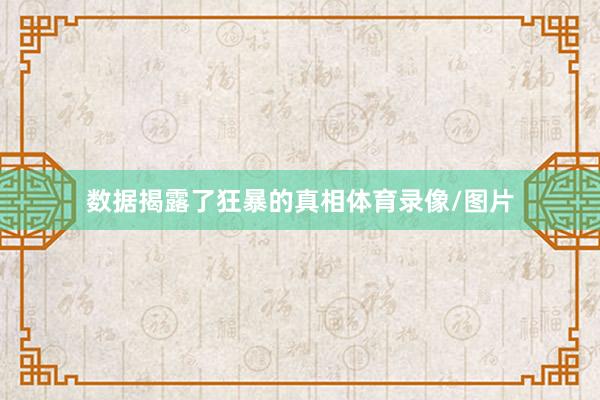 数据揭露了狂暴的真相体育录像/图片