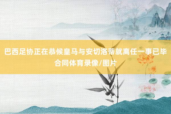 巴西足协正在恭候皇马与安切洛蒂就离任一事已毕合同体育录像/图片