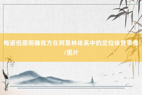 梅诺但愿明确我方在阿莫林体系中的定位体育录像/图片