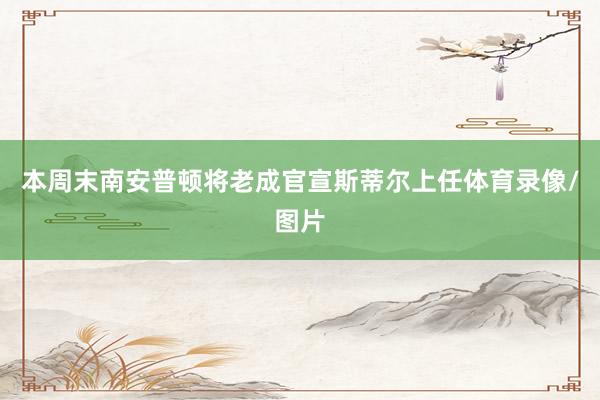 本周末南安普顿将老成官宣斯蒂尔上任体育录像/图片