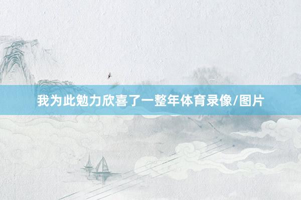 我为此勉力欣喜了一整年体育录像/图片