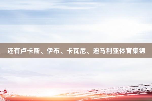 还有卢卡斯、伊布、卡瓦尼、迪马利亚体育集锦