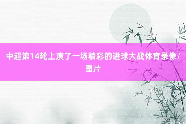 中超第14轮上演了一场精彩的进球大战体育录像/图片