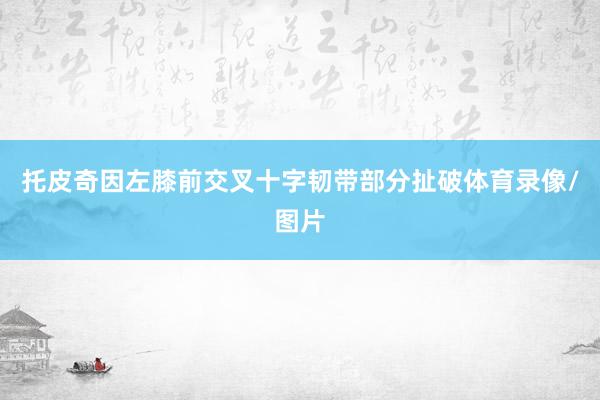 托皮奇因左膝前交叉十字韧带部分扯破体育录像/图片