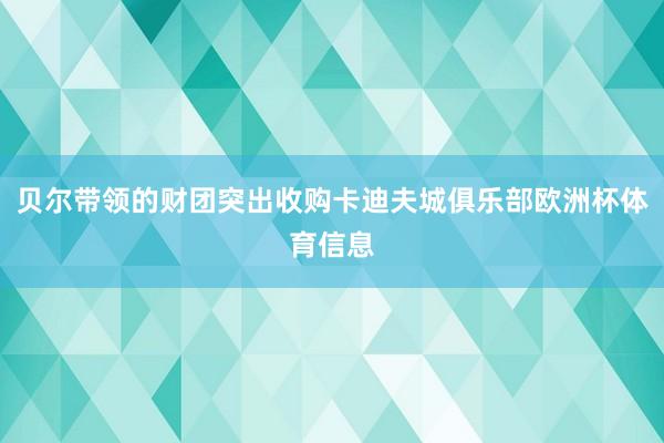 贝尔带领的财团突出收购卡迪夫城俱乐部欧洲杯体育信息