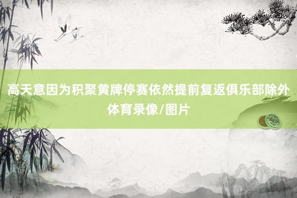 高天意因为积聚黄牌停赛依然提前复返俱乐部除外体育录像/图片