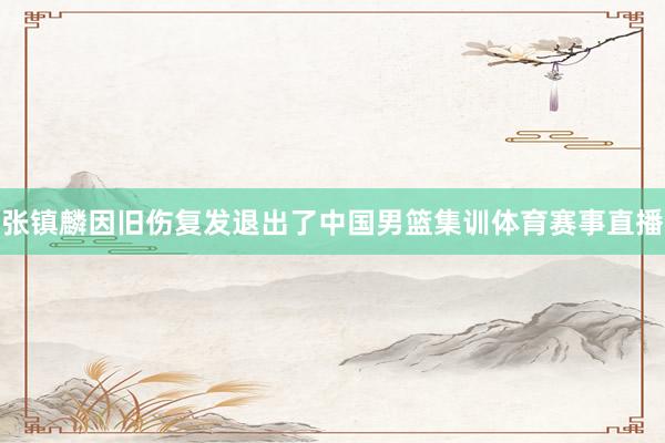 张镇麟因旧伤复发退出了中国男篮集训体育赛事直播