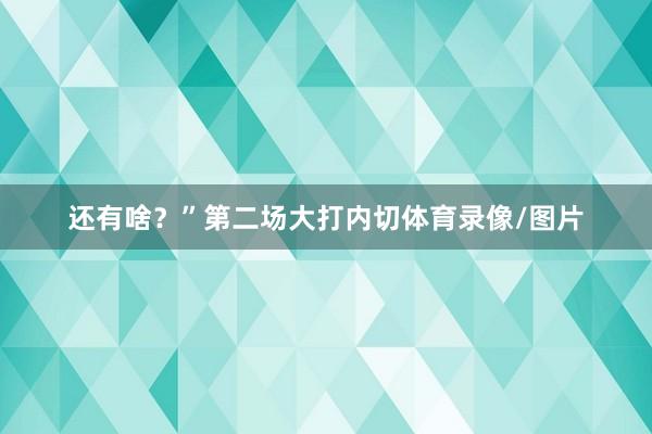 还有啥？”第二场大打内切体育录像/图片