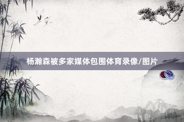 杨瀚森被多家媒体包围体育录像/图片