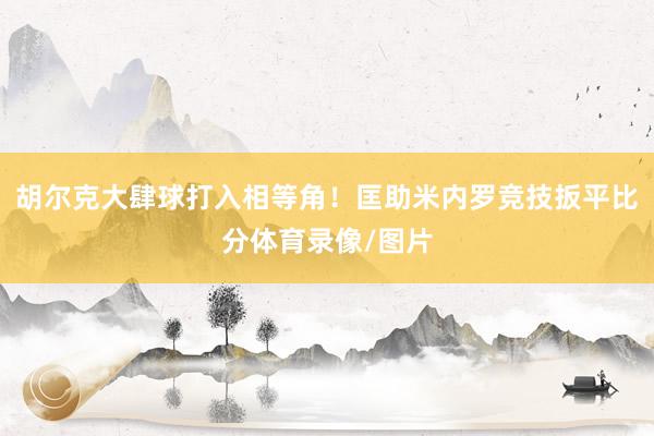 胡尔克大肆球打入相等角！匡助米内罗竞技扳平比分体育录像/图片
