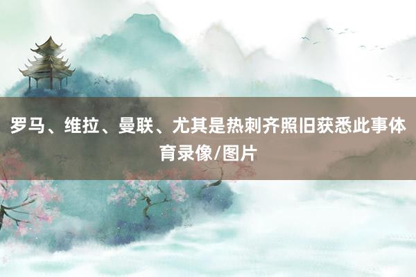 罗马、维拉、曼联、尤其是热刺齐照旧获悉此事体育录像/图片