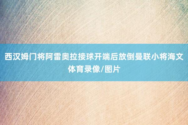 西汉姆门将阿雷奥拉接球开端后放倒曼联小将海文体育录像/图片