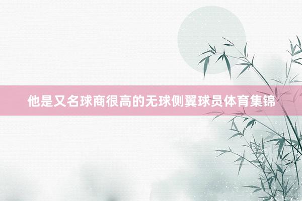 他是又名球商很高的无球侧翼球员体育集锦