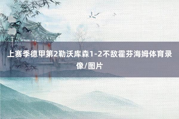 上赛季德甲第2勒沃库森1-2不敌霍芬海姆体育录像/图片