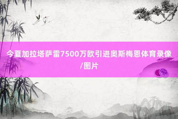 今夏加拉塔萨雷7500万欧引进奥斯梅恩体育录像/图片