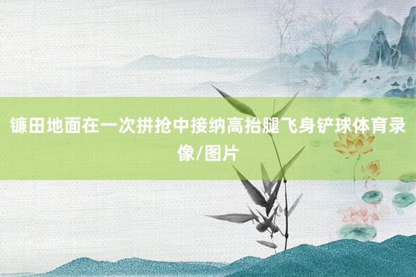 镰田地面在一次拼抢中接纳高抬腿飞身铲球体育录像/图片
