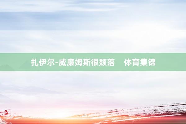 扎伊尔-威廉姆斯很颓落    体育集锦