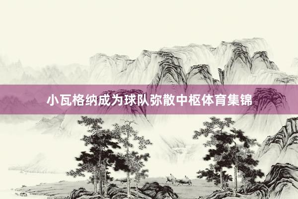 小瓦格纳成为球队弥散中枢体育集锦