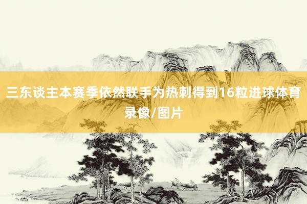 三东谈主本赛季依然联手为热刺得到16粒进球体育录像/图片