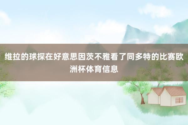 维拉的球探在好意思因茨不雅看了同多特的比赛欧洲杯体育信息