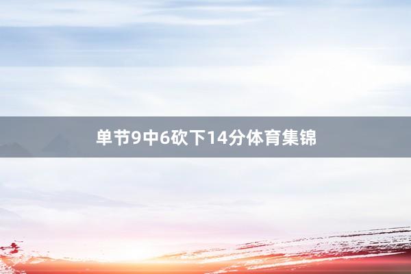 单节9中6砍下14分体育集锦