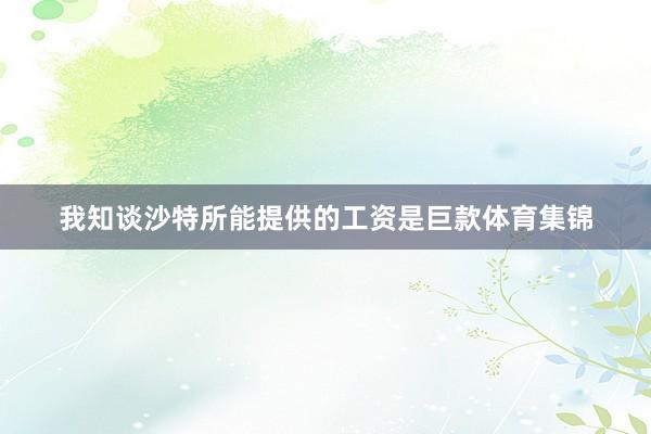 我知谈沙特所能提供的工资是巨款体育集锦
