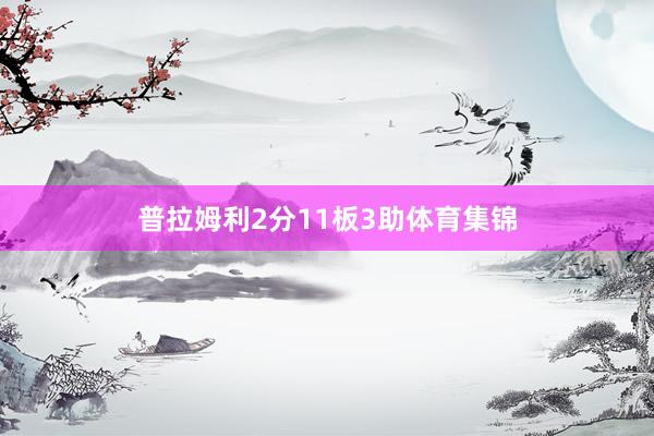普拉姆利2分11板3助体育集锦