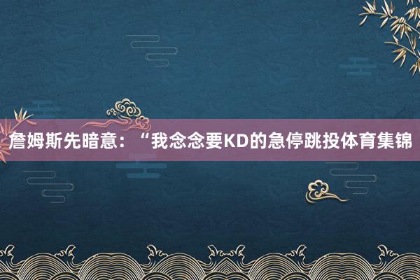 詹姆斯先暗意：“我念念要KD的急停跳投体育集锦