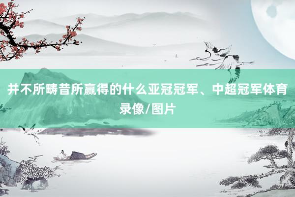并不所畴昔所赢得的什么亚冠冠军、中超冠军体育录像/图片