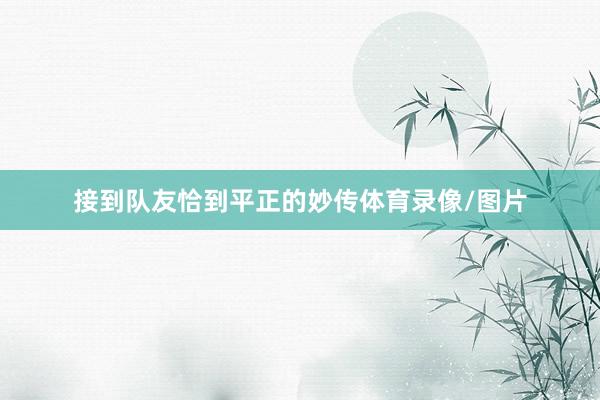 接到队友恰到平正的妙传体育录像/图片