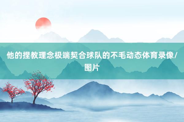 他的捏教理念极端契合球队的不毛动态体育录像/图片