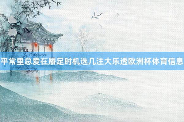 平常里总爱在餍足时机选几注大乐透欧洲杯体育信息