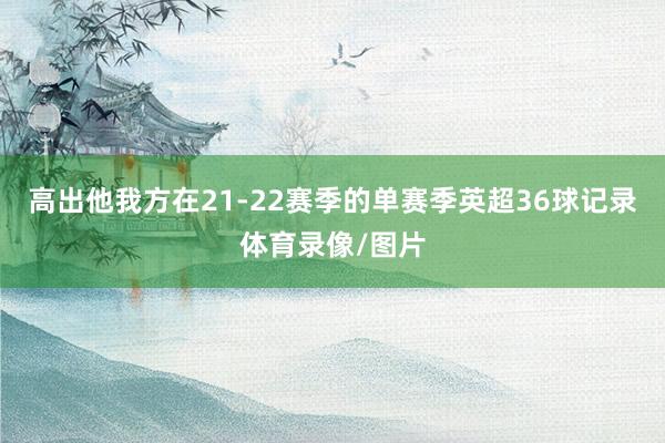 高出他我方在21-22赛季的单赛季英超36球记录体育录像/图片