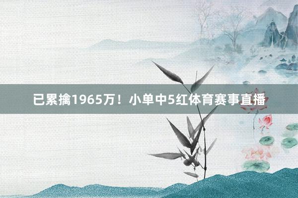 已累擒1965万！小单中5红体育赛事直播