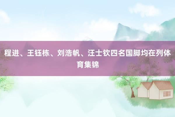 程进、王钰栋、刘浩帆、汪士钦四名国脚均在列体育集锦