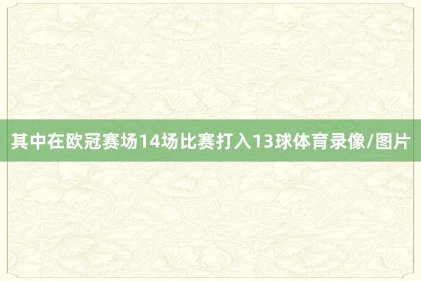 其中在欧冠赛场14场比赛打入13球体育录像/图片