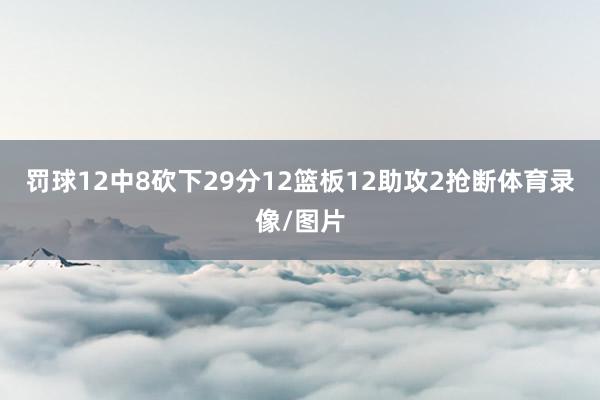罚球12中8砍下29分12篮板12助攻2抢断体育录像/图片