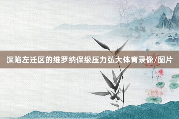 深陷左迁区的维罗纳保级压力弘大体育录像/图片