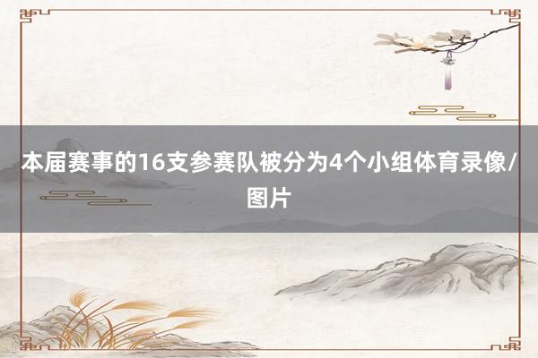 本届赛事的16支参赛队被分为4个小组体育录像/图片