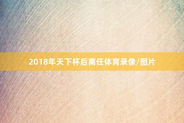 2018年天下杯后离任体育录像/图片